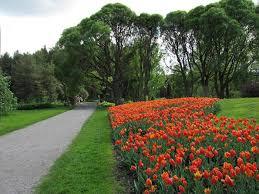 Hatanpaa Park Arboretum